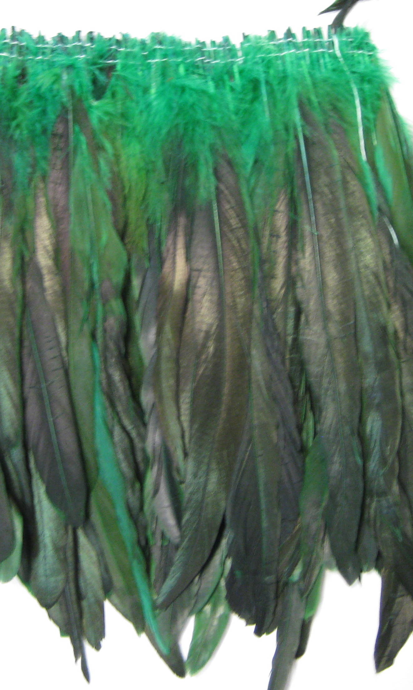 COCK FEATHER COCK FEATHER